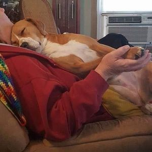 Meet your Posher, Julie